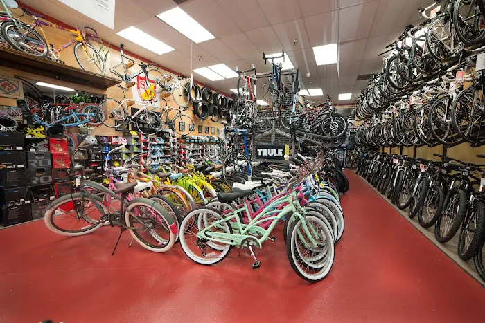 Incycle San Dimas Picture 1