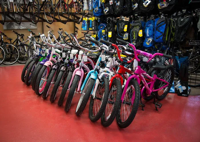 Incycle San Dimas Picture 3