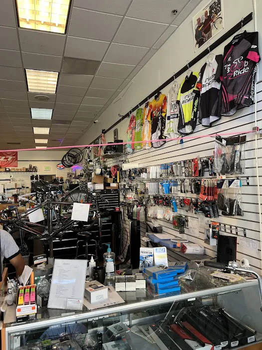 Irvine Bicycles Picture 3