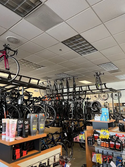 Irvine Bicycles Picture 8