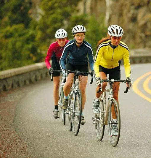 Bicycle Central Picture 7