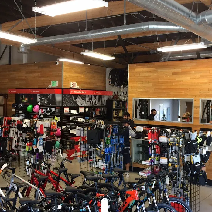 Bicycle Central Picture 2