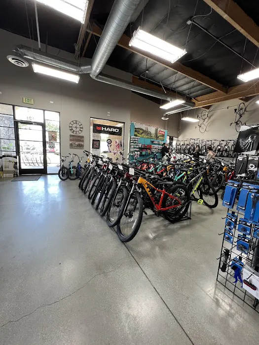 Bicycle Central Picture 4