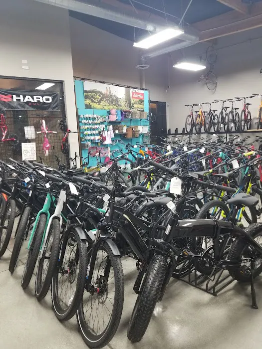 Bicycle Central Picture 5