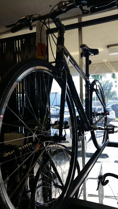 Bicycle Central Picture 6