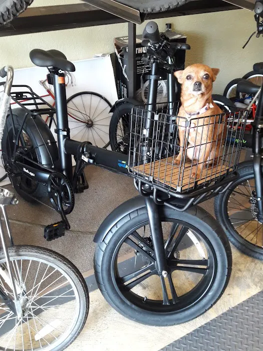 Stans Bike Shop Picture 3