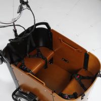 Ferla Cargo Bikes - Family Bikes ico