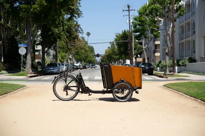 Ferla Cargo Bikes - Family Bikes Picture 3