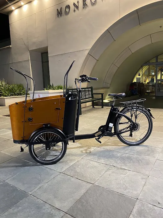 Ferla Cargo Bikes - Family Bikes Picture 2