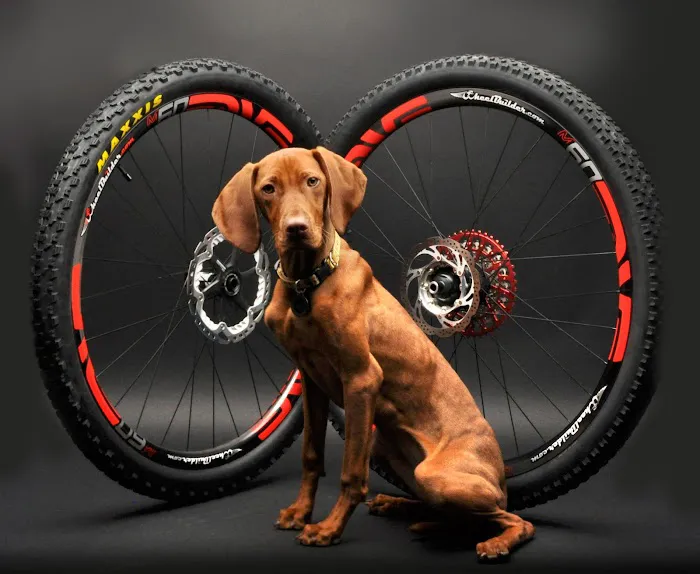 Wheelbuilder.com Picture 10