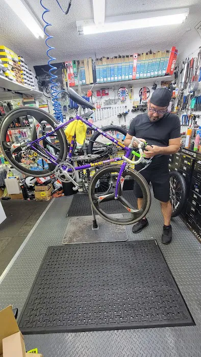 The Bike Connection Picture 9