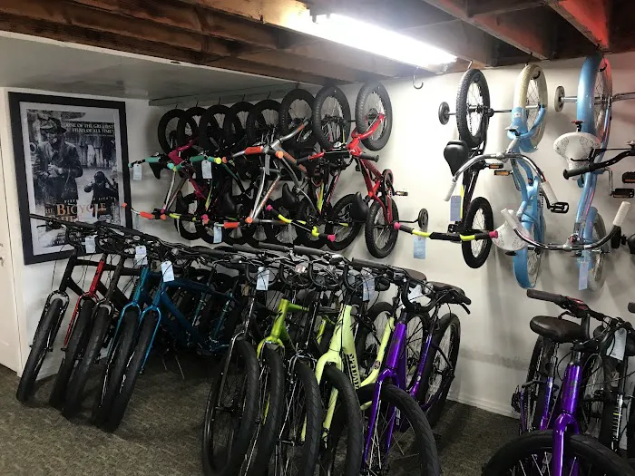 The Bike Connection Picture 5