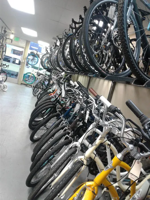 Stotts Bicycles Picture 5