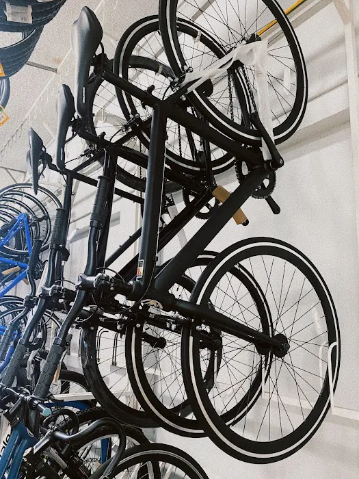 G & K Bicycles Picture 9