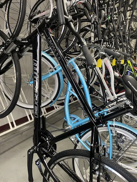 G & K Bicycles Picture 3