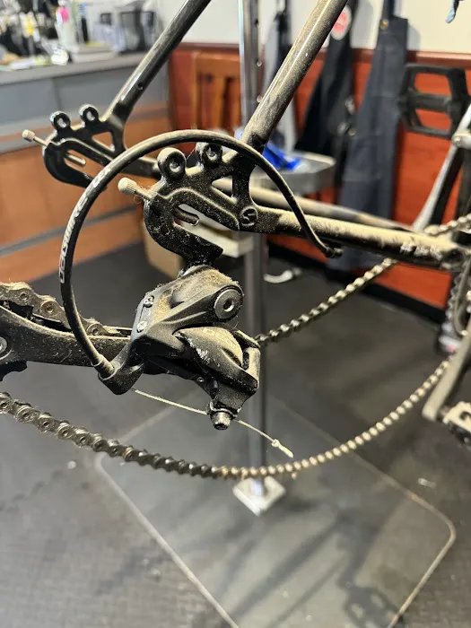 La Cicla Bike Shop Picture 5