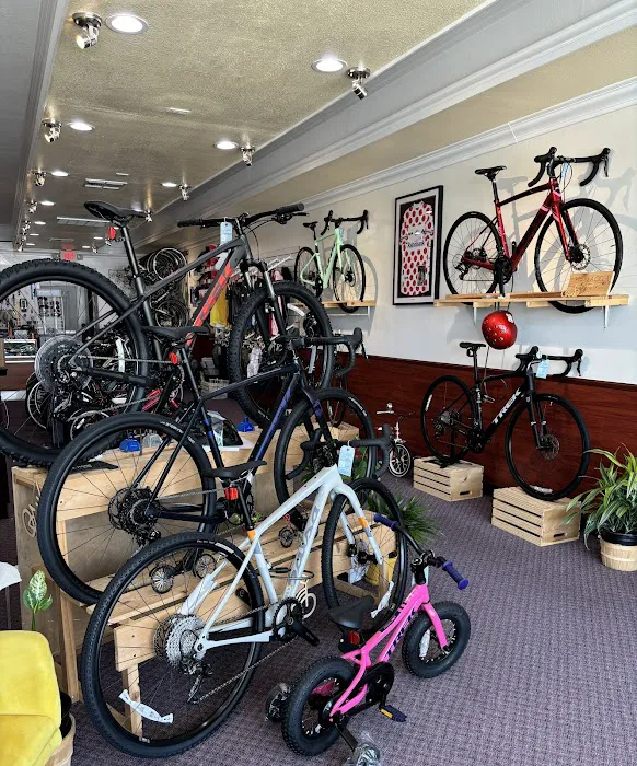 La Cicla Bike Shop Picture 8