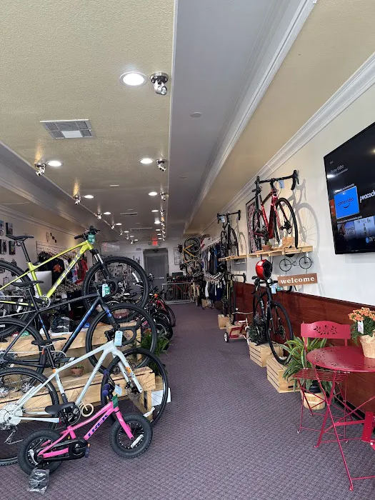 La Cicla Bike Shop Picture 3