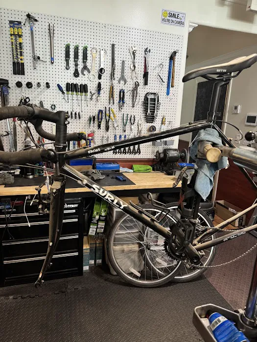 La Cicla Bike Shop Picture 7