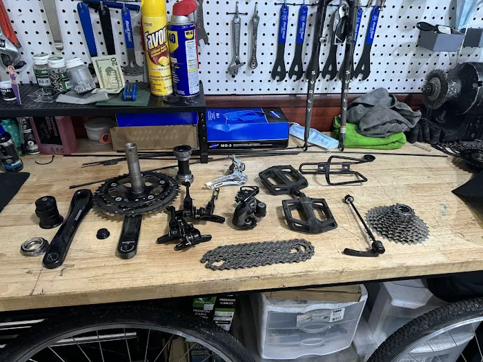 La Cicla Bike Shop Picture 6