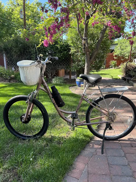 E-Switchy Electric Bike Kit Picture 8