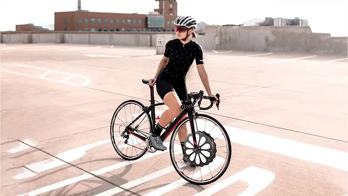 E-Switchy Electric Bike Kit Picture 3