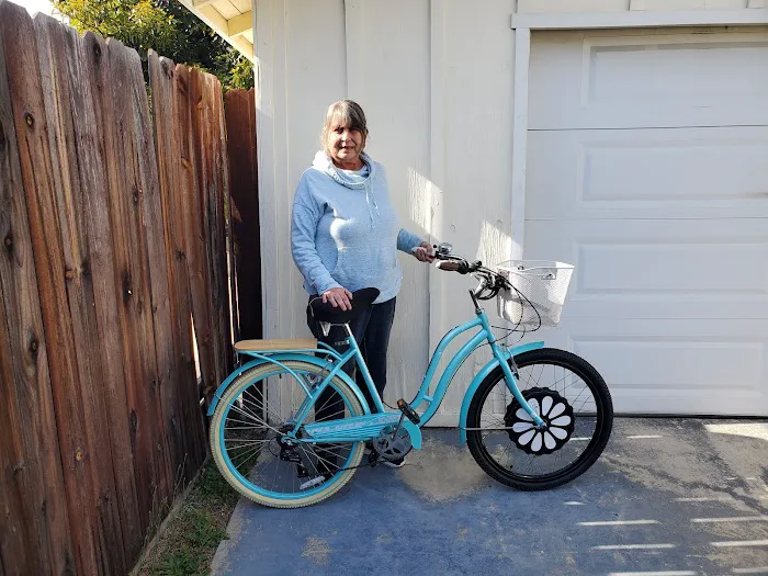 E-Switchy Electric Bike Kit Picture 5