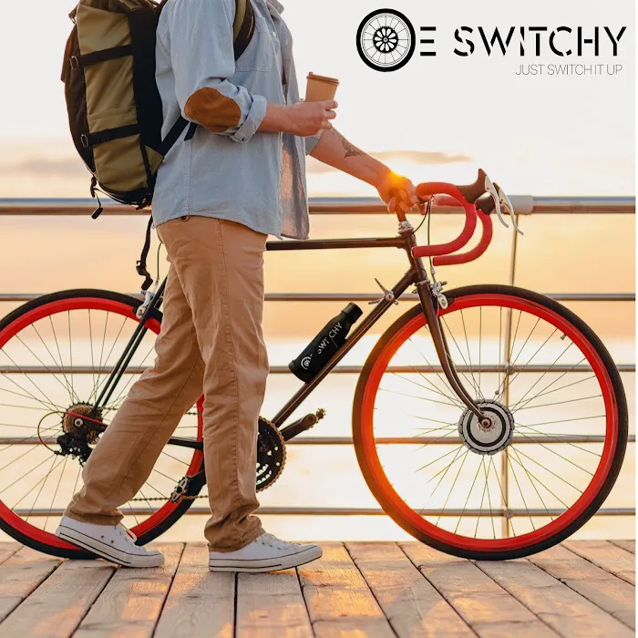 E-Switchy Electric Bike Kit Picture 9