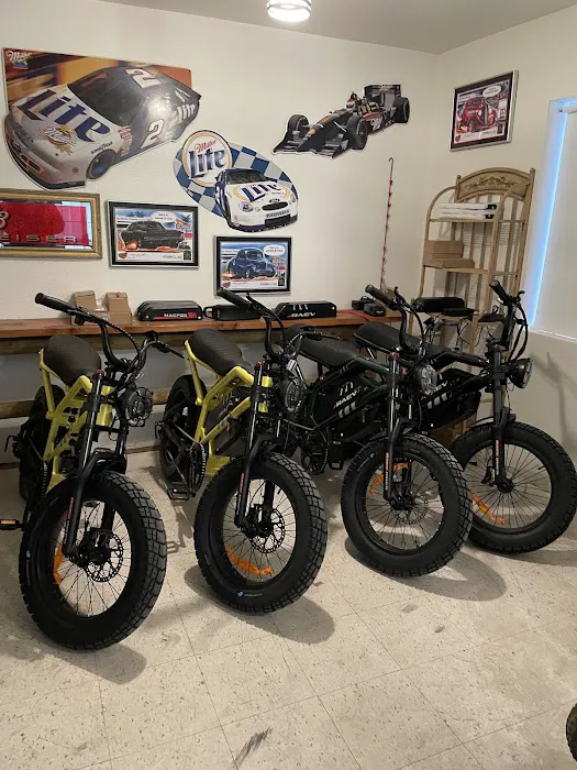 ebike wagon Picture 4