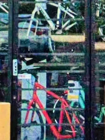 Cyclery USA Picture 3