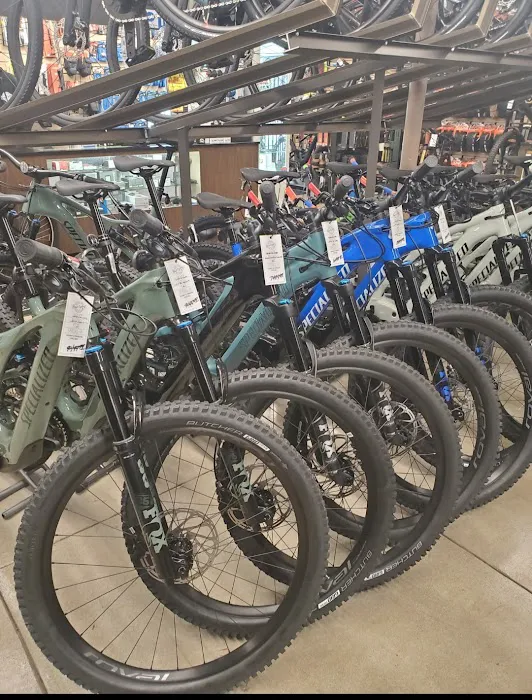Roy's Cyclery Picture 10