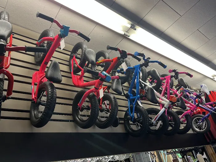 Roy's Cyclery Picture 2