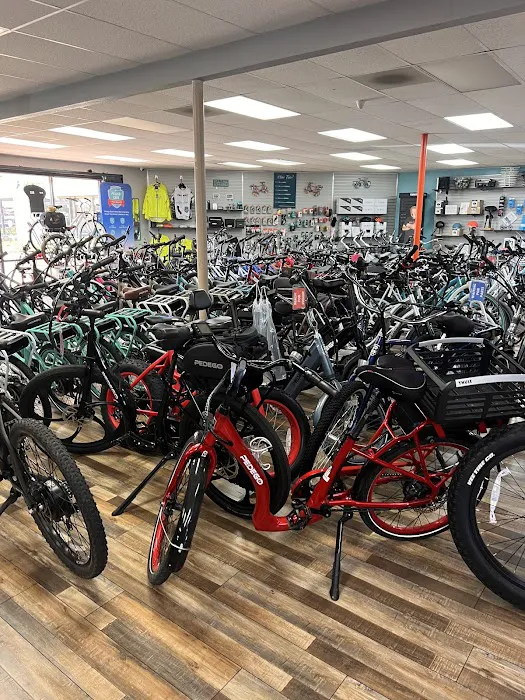 Pedego Electric Bikes Upland Picture 7