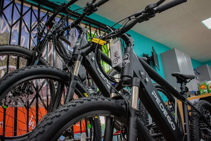 Pedego Electric Bikes Upland Picture 10