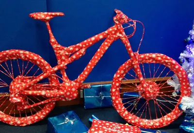 Bosco Bike Fits Picture 3
