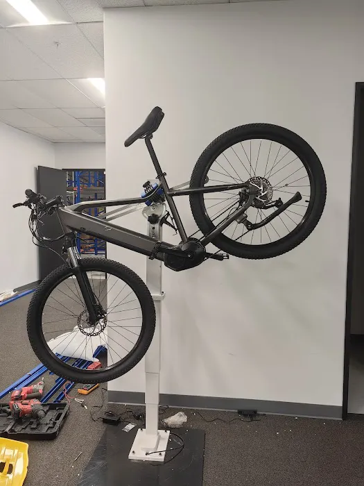 CZJB MOTOR Picture 5
