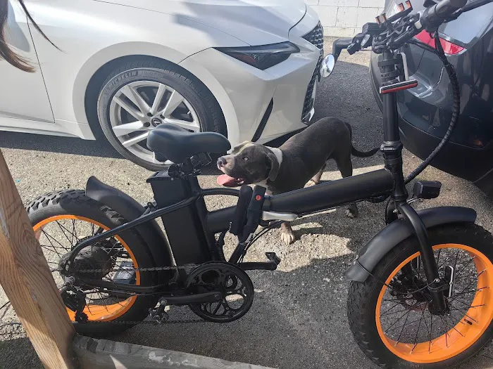 CZJB MOTOR Picture 3