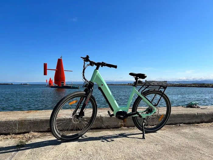 DWMEIGI ELECTRIC BIKE Picture 2