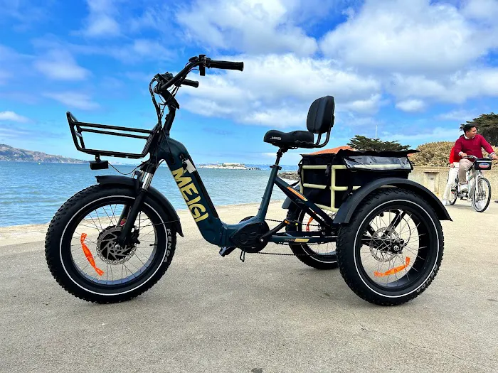 DWMEIGI ELECTRIC BIKE Picture 3