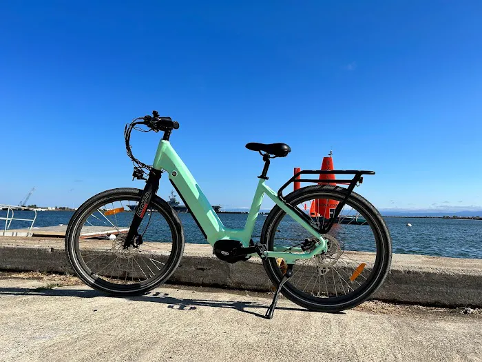DWMEIGI ELECTRIC BIKE Picture 6