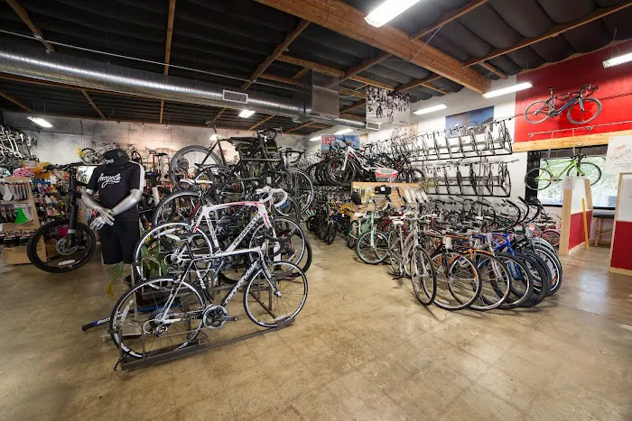 Incycle Rancho Picture 5