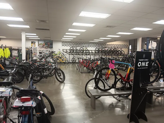 Cyclery USA Picture 3