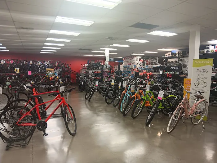Cyclery USA Picture 6