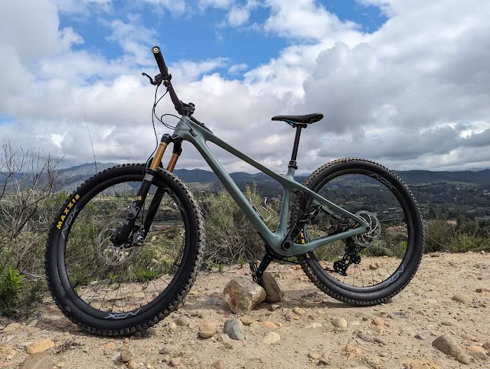 The Bike Company Picture 5
