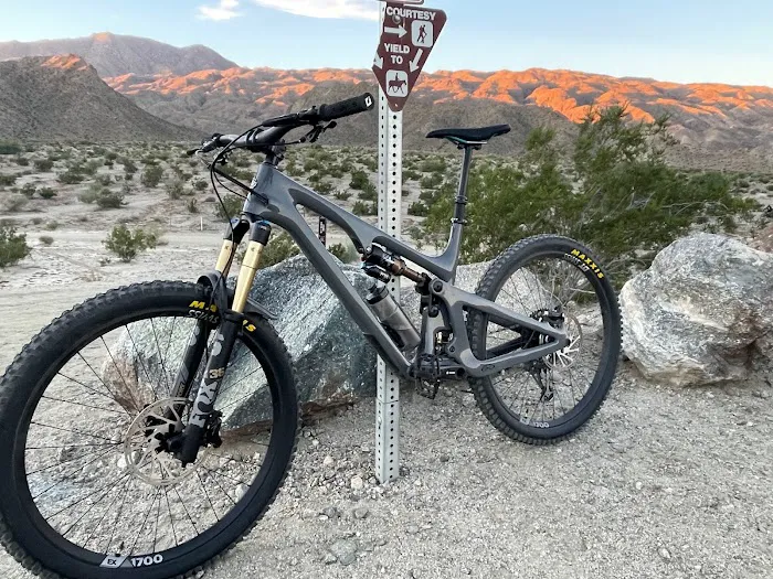 The Bike Company Picture 7
