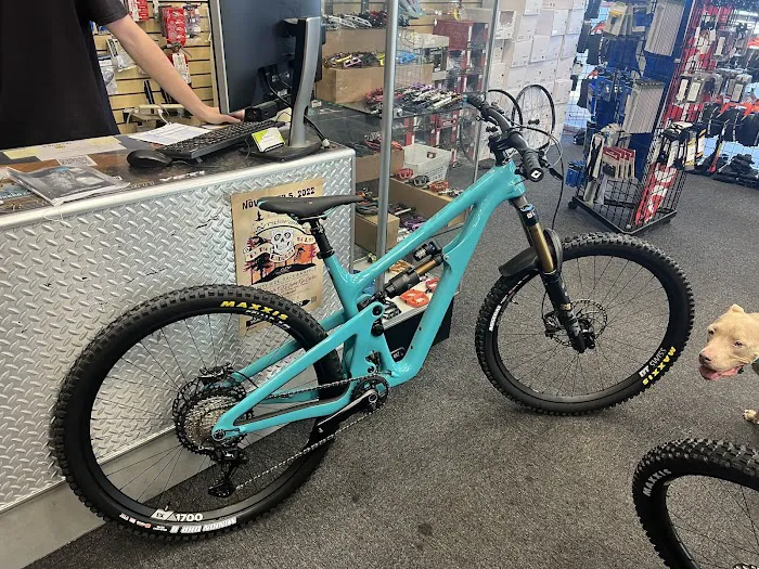 The Bike Company Picture 4