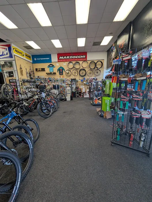 The Bike Company Picture 1