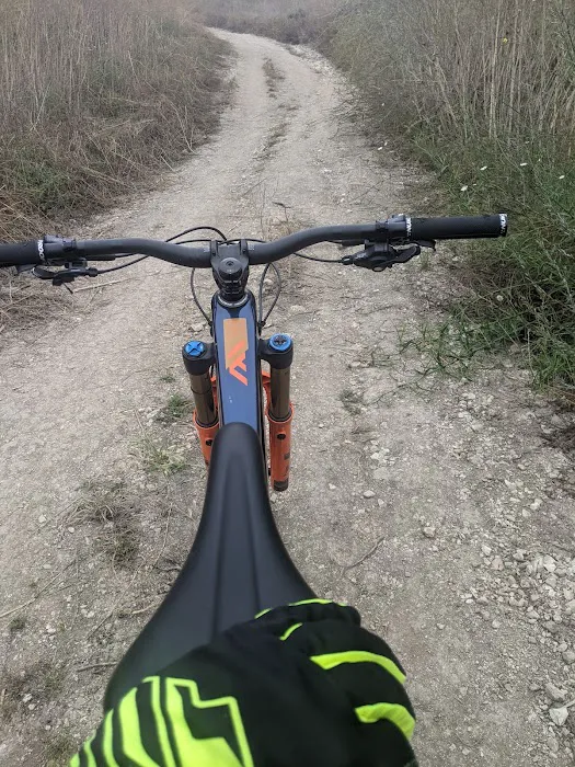 The Bike Company Picture 6