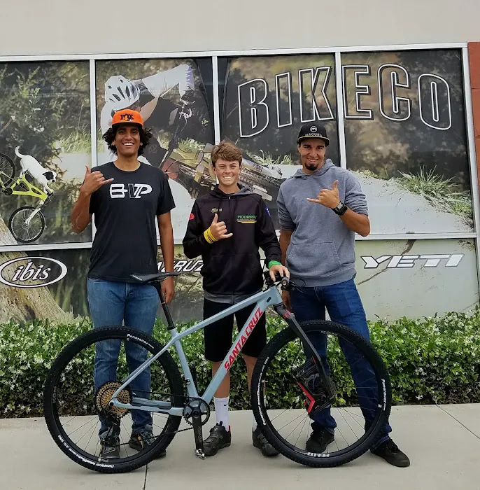 The Bike Company Picture 10