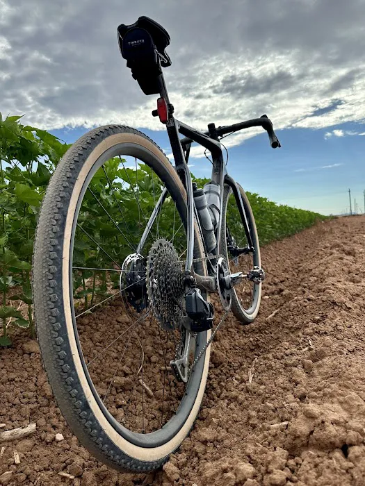 Stage21 Bikes Inc. Picture 8